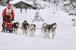 Kandersteg 2014 WM