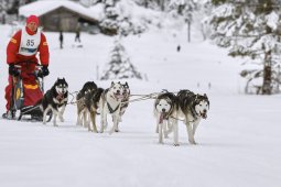 Kandersteg 2014 WM