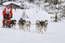 Kandersteg 2014 WM
