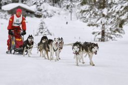 Kandersteg 2014 WM