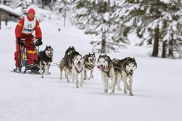 Kandersteg 2014 WM