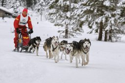 Kandersteg 2014 WM