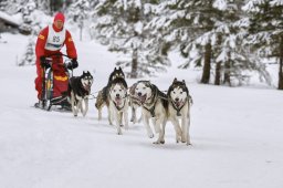 Kandersteg 2014 WM