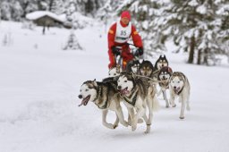 Kandersteg 2014 WM