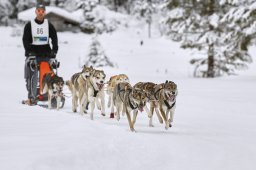 Kandersteg 2014 WM