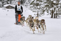 Kandersteg 2014 WM
