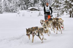 Kandersteg 2014 WM