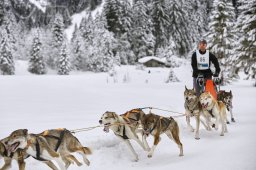 Kandersteg 2014 WM