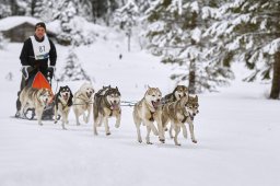 Kandersteg 2014 WM