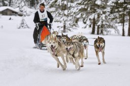 Kandersteg 2014 WM