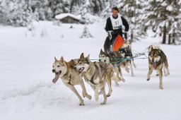Kandersteg 2014 WM