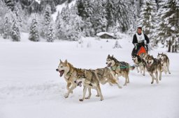 Kandersteg 2014 WM