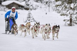 Kandersteg 2014 WM