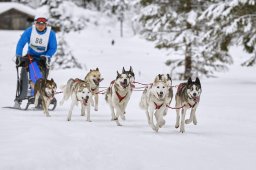 Kandersteg 2014 WM