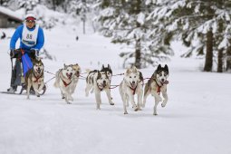 Kandersteg 2014 WM
