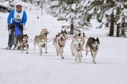Kandersteg 2014 WM