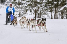 Kandersteg 2014 WM