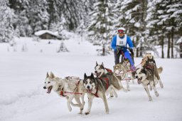 Kandersteg 2014 WM