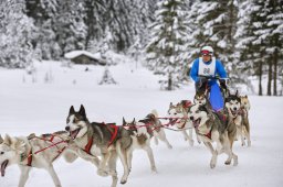 Kandersteg 2014 WM