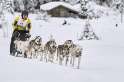 Kandersteg 2014 WM