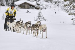 Kandersteg 2014 WM
