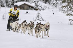 Kandersteg 2014 WM