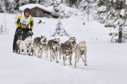 Kandersteg 2014 WM