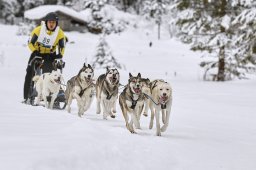 Kandersteg 2014 WM
