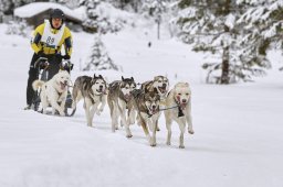 Kandersteg 2014 WM