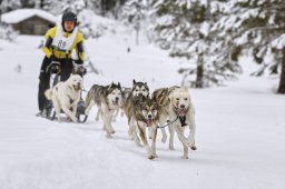 Kandersteg 2014 WM