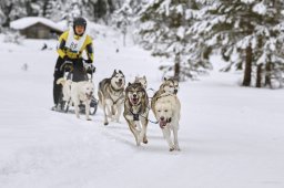 Kandersteg 2014 WM