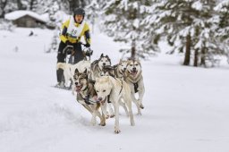 Kandersteg 2014 WM