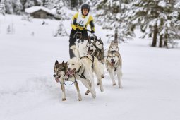 Kandersteg 2014 WM