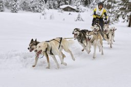 Kandersteg 2014 WM