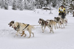 Kandersteg 2014 WM