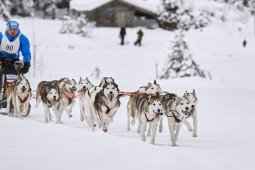 Kandersteg 2014 WM