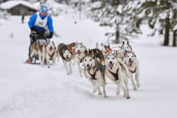 Kandersteg 2014 WM