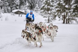 Kandersteg 2014 WM
