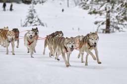 Kandersteg 2014 WM
