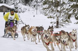 Kandersteg 2014 WM