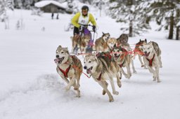 Kandersteg 2014 WM
