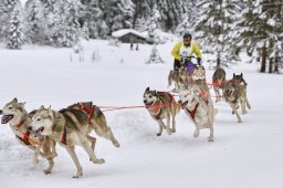 Kandersteg 2014 WM