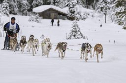 Kandersteg 2014 WM