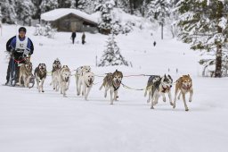 Kandersteg 2014 WM
