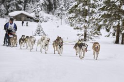 Kandersteg 2014 WM