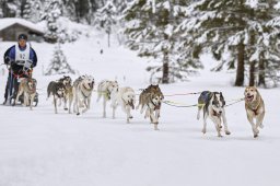 Kandersteg 2014 WM