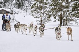 Kandersteg 2014 WM
