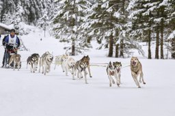 Kandersteg 2014 WM