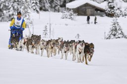 Kandersteg 2014 WM