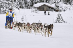 Kandersteg 2014 WM
